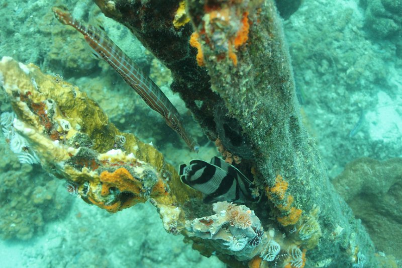 Curacao 04-12 093.JPG